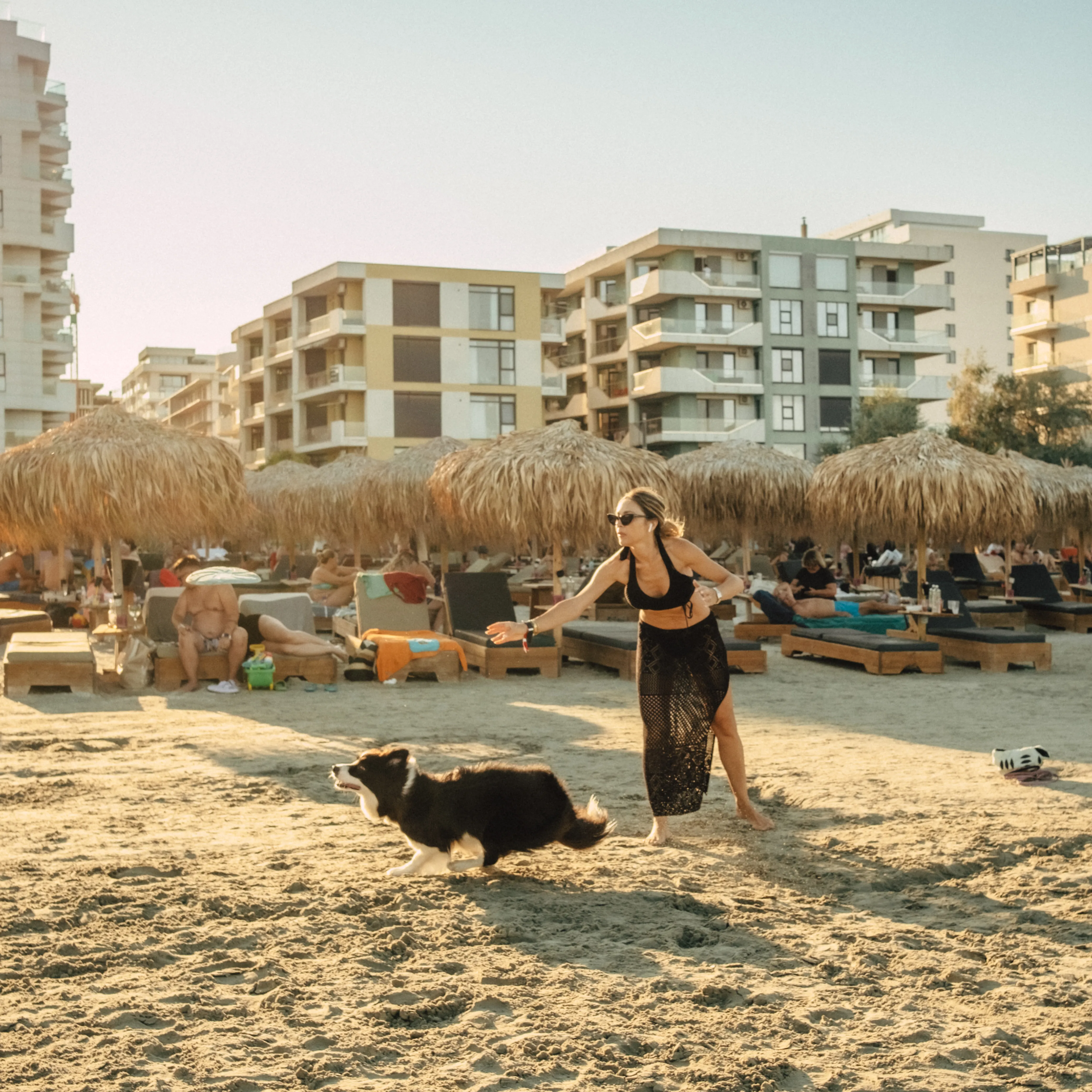 A woman plays with a dog on the beach at sunset