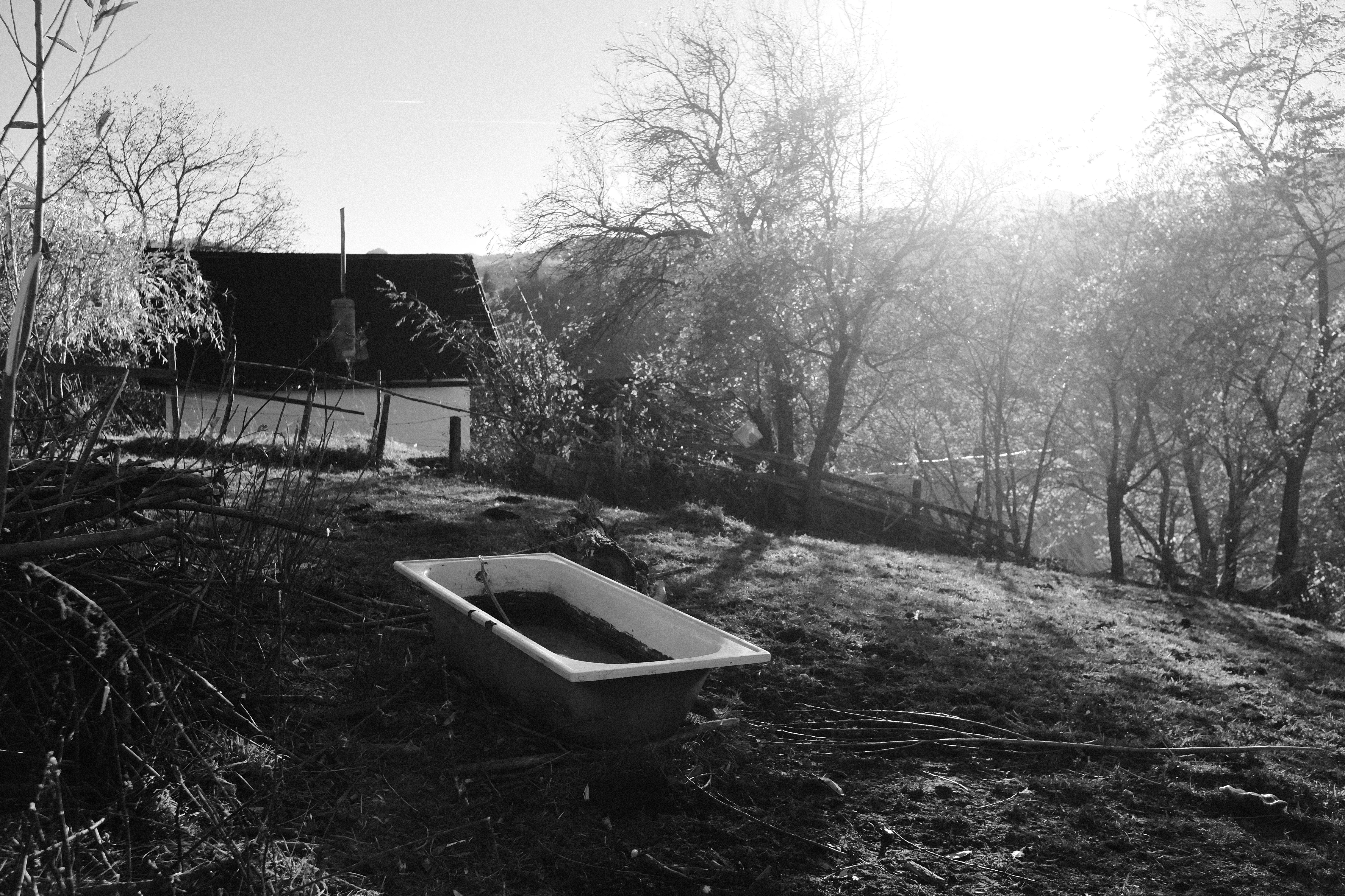 A small wooden structure standing alone in a foggy winter landscape, black and white