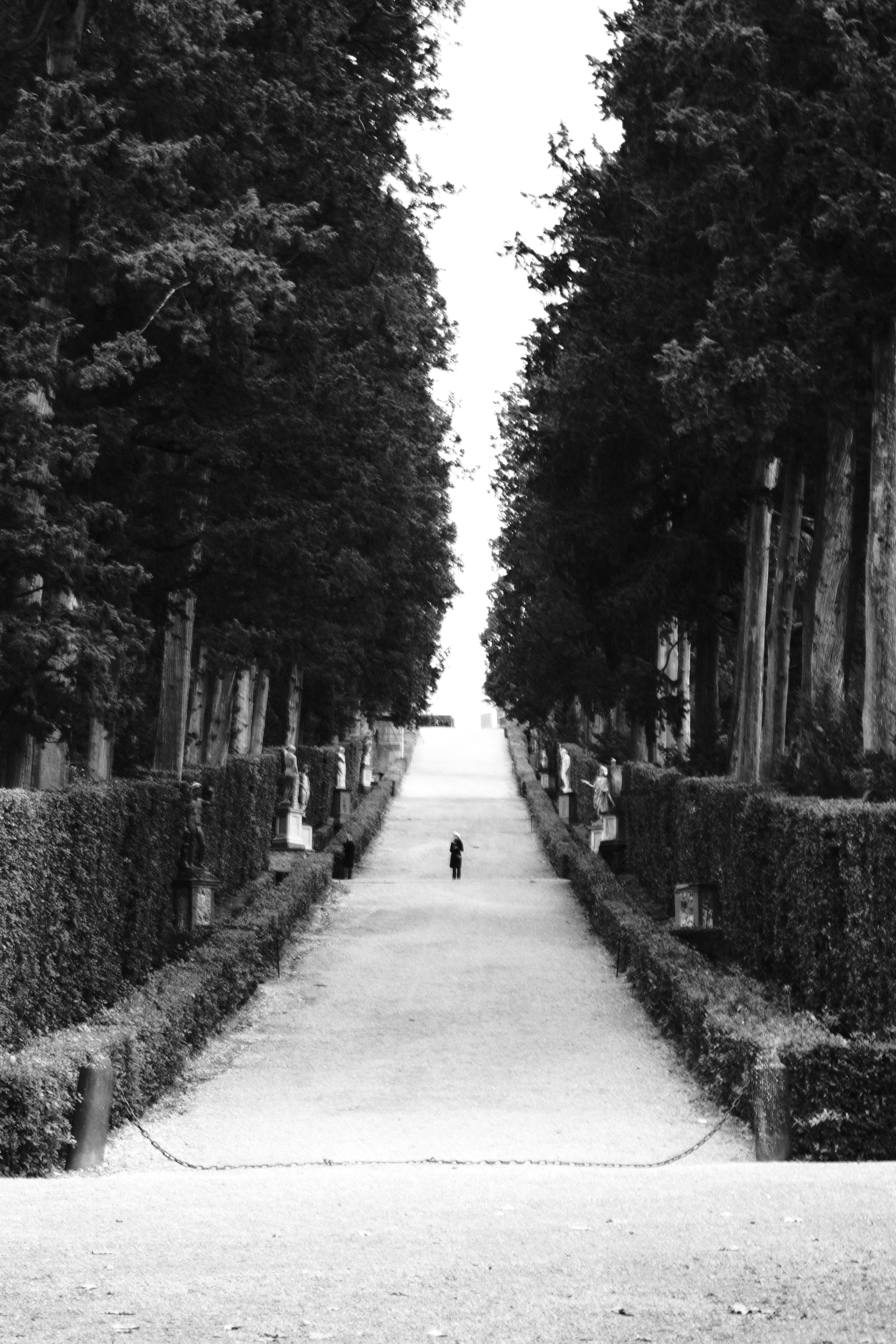 A symmetrical cypress-lined path with a single distant figure walking away, black and white