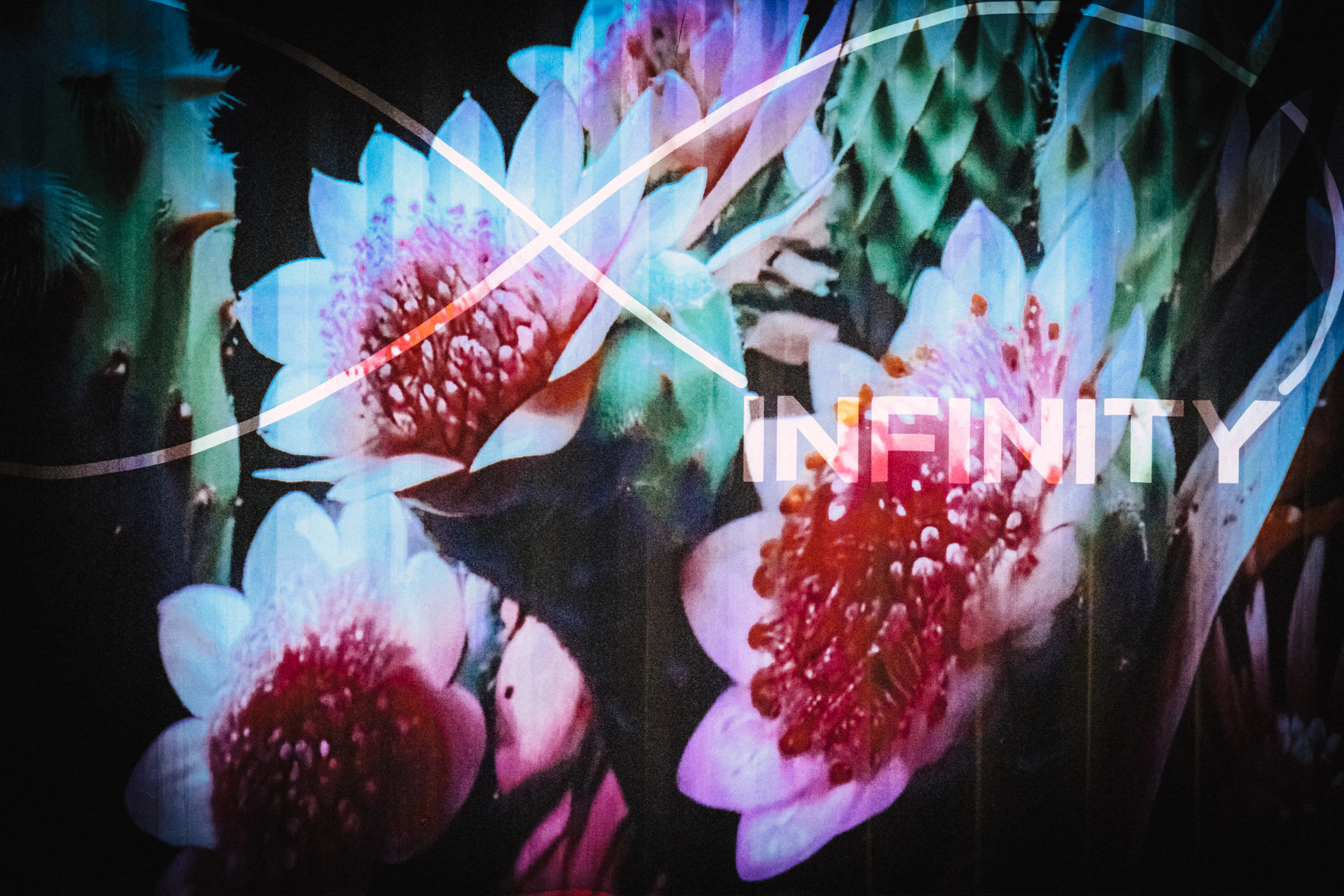 The Infinity Beach sign glowing pink and blue at night, framed by flowers