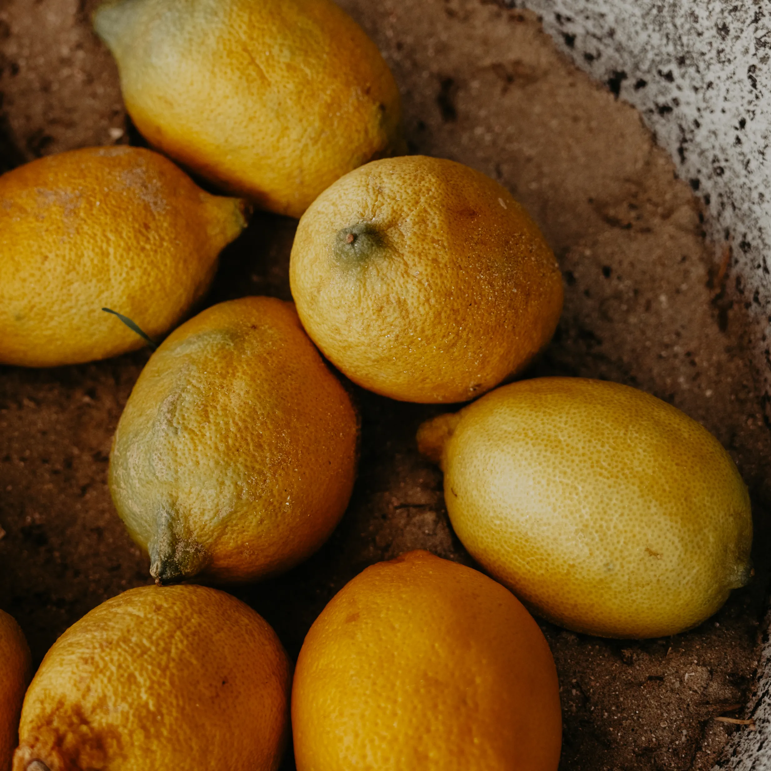 Close-up of sliced lemons at the beach bar