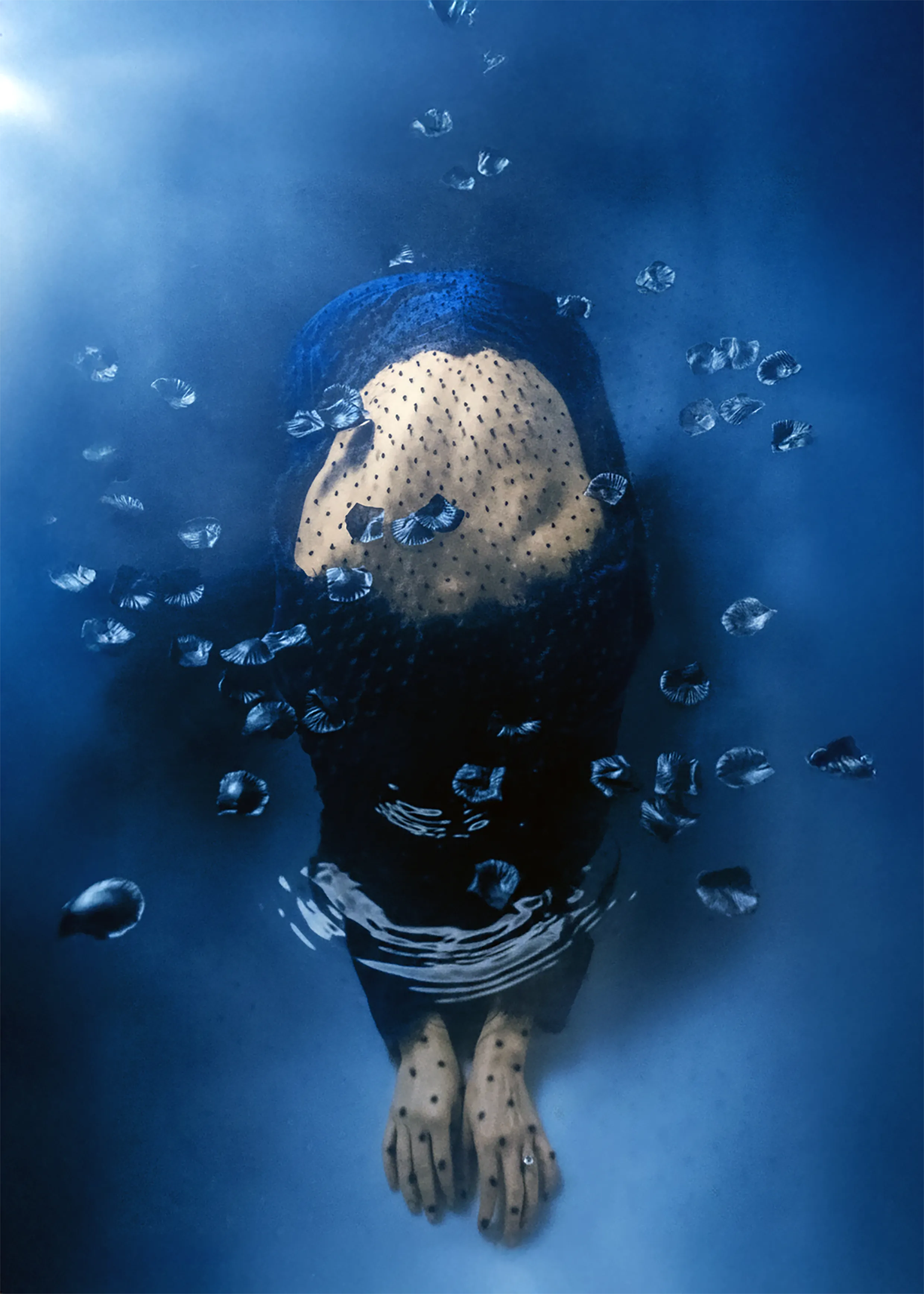 A submerged figure beneath a dotted veil, surrounded by floating petals, deep blue